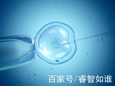 供卵代生机构